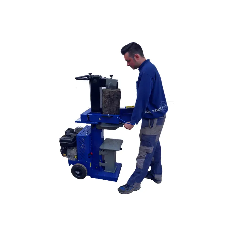 TT1350-11T-3.webp