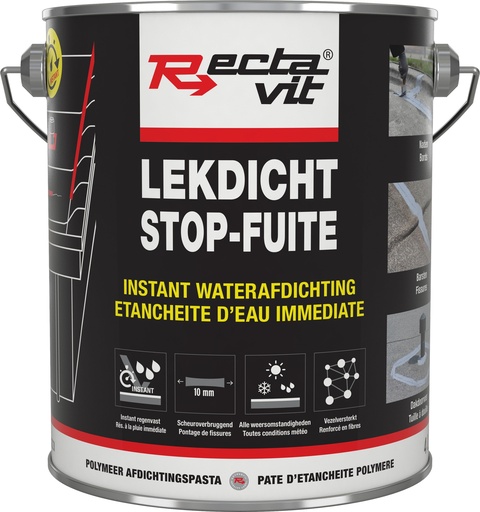 [REC-125209]  Stop-Fuite Toits et Gouttières Gris 4L